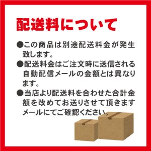 画像2: 【個別配送品】石材運搬車XS400専用クローラ　1組（2個セット）　【送料別途お見積もり】